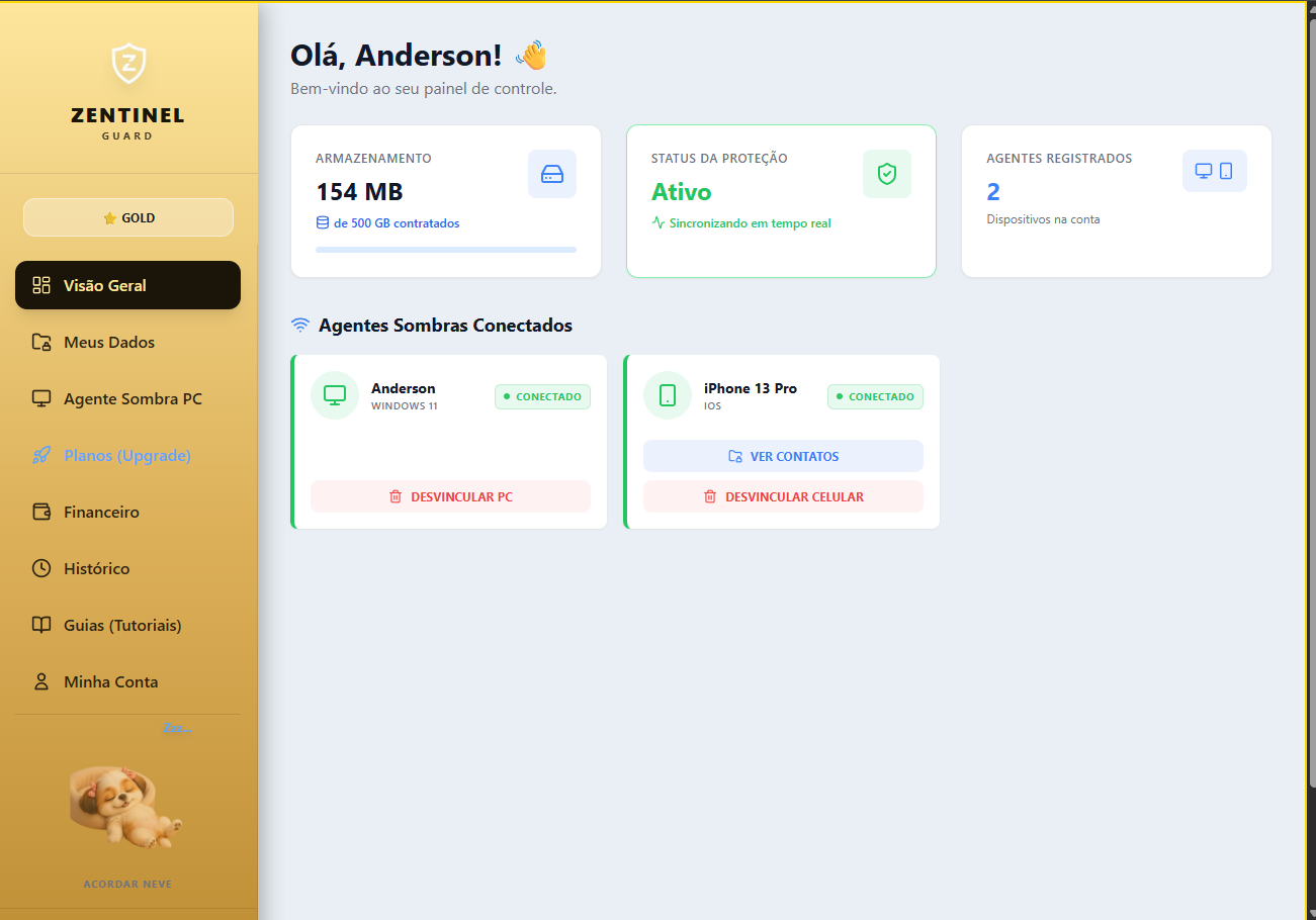 Painel Web Zentinel